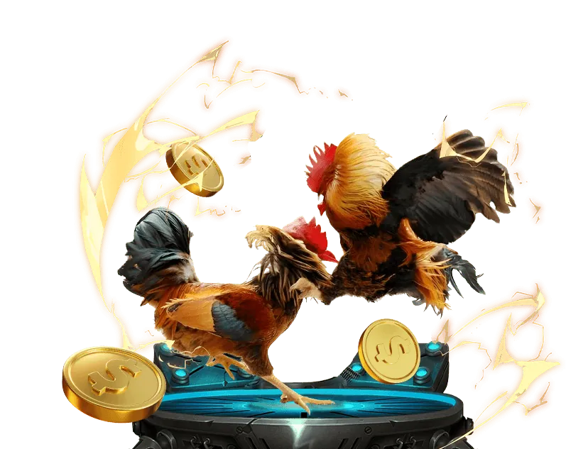 Hoàn tất đăng ký Kubet